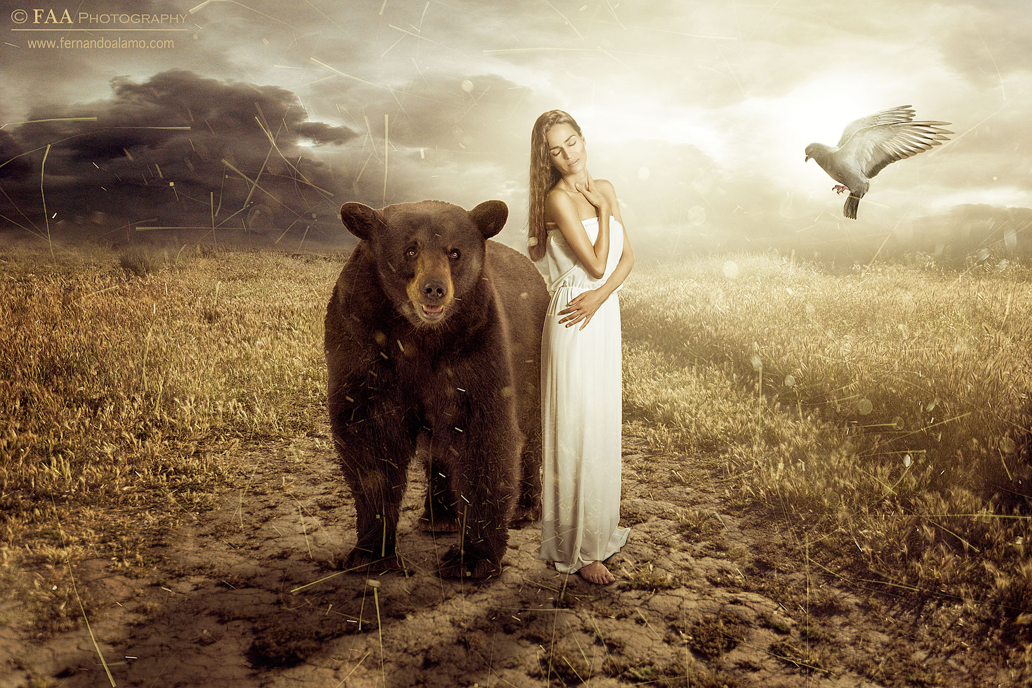 Isabel y el Oso