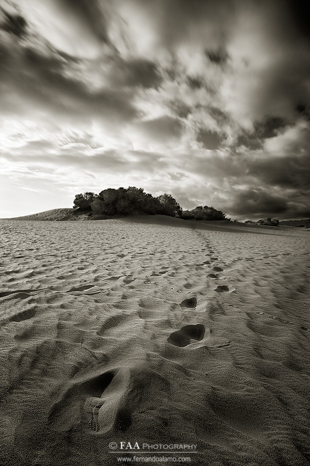 Dunas de Maspalomas Duotono Firmada