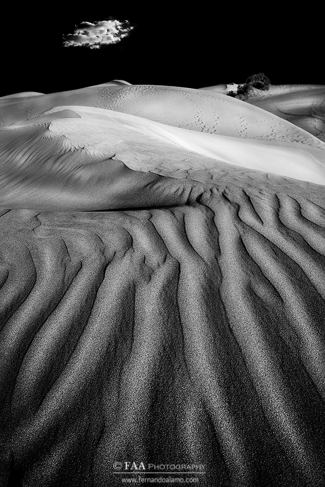 Dunas en Negro Firmada