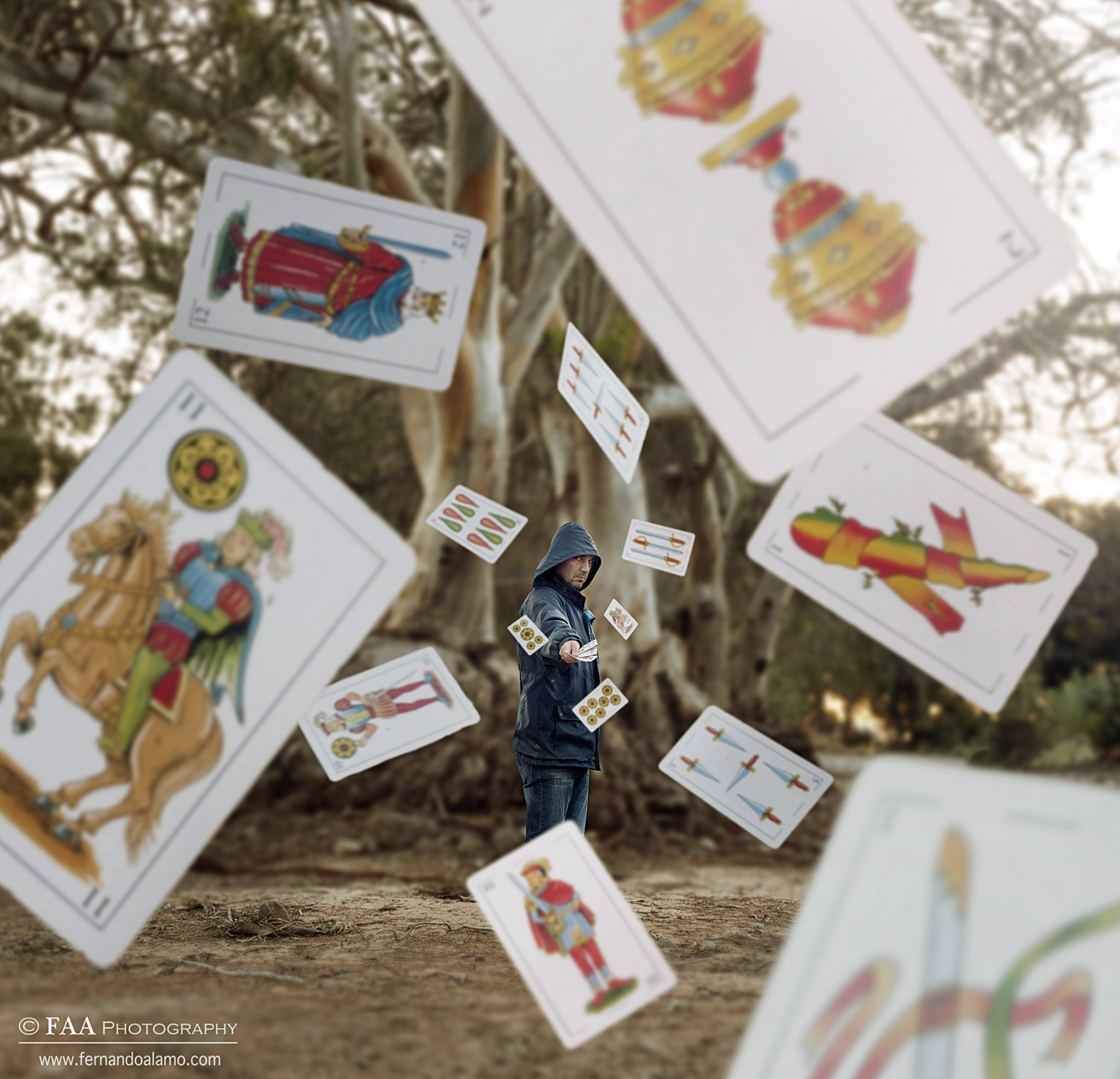 Juego de Naipes