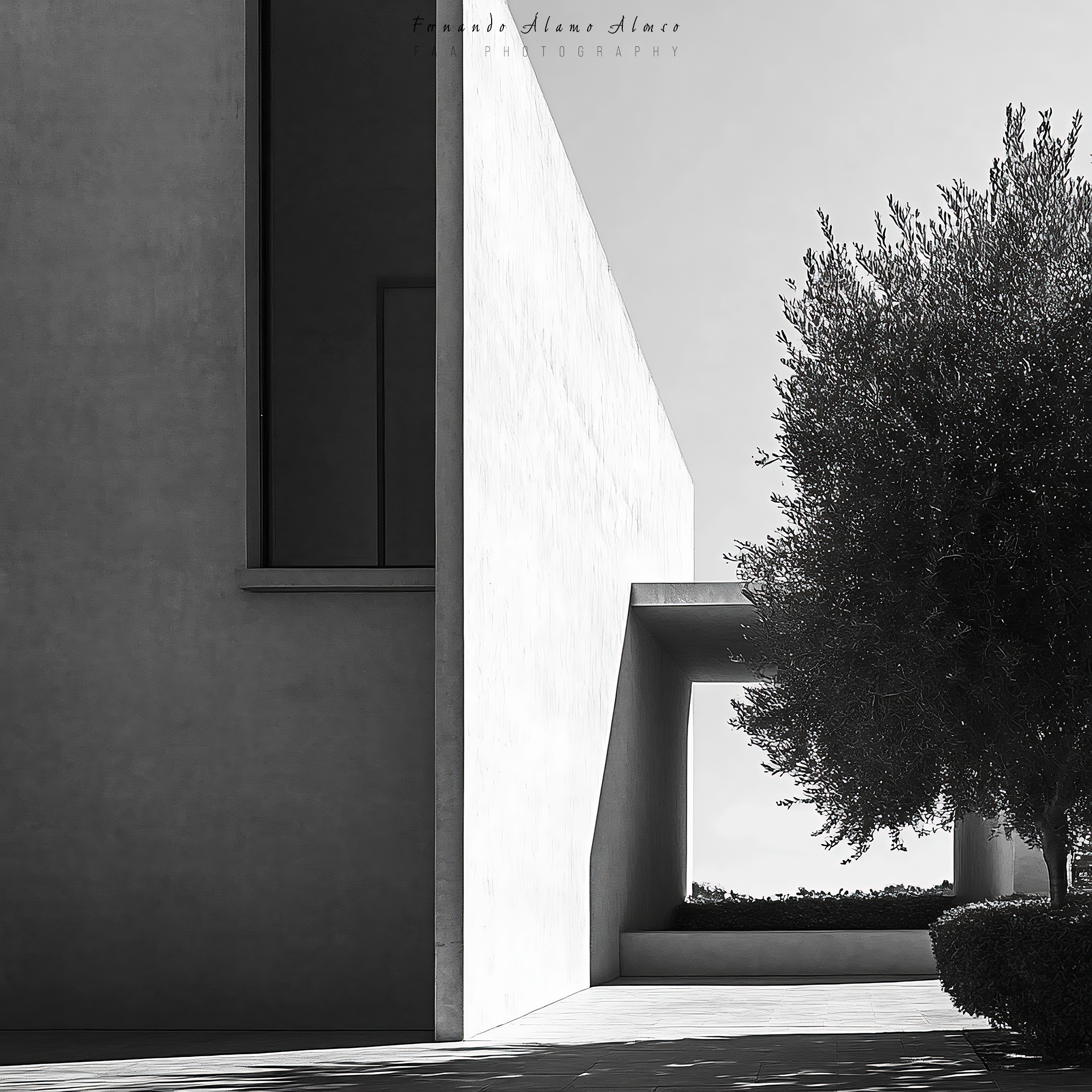 Arquitectura IV
