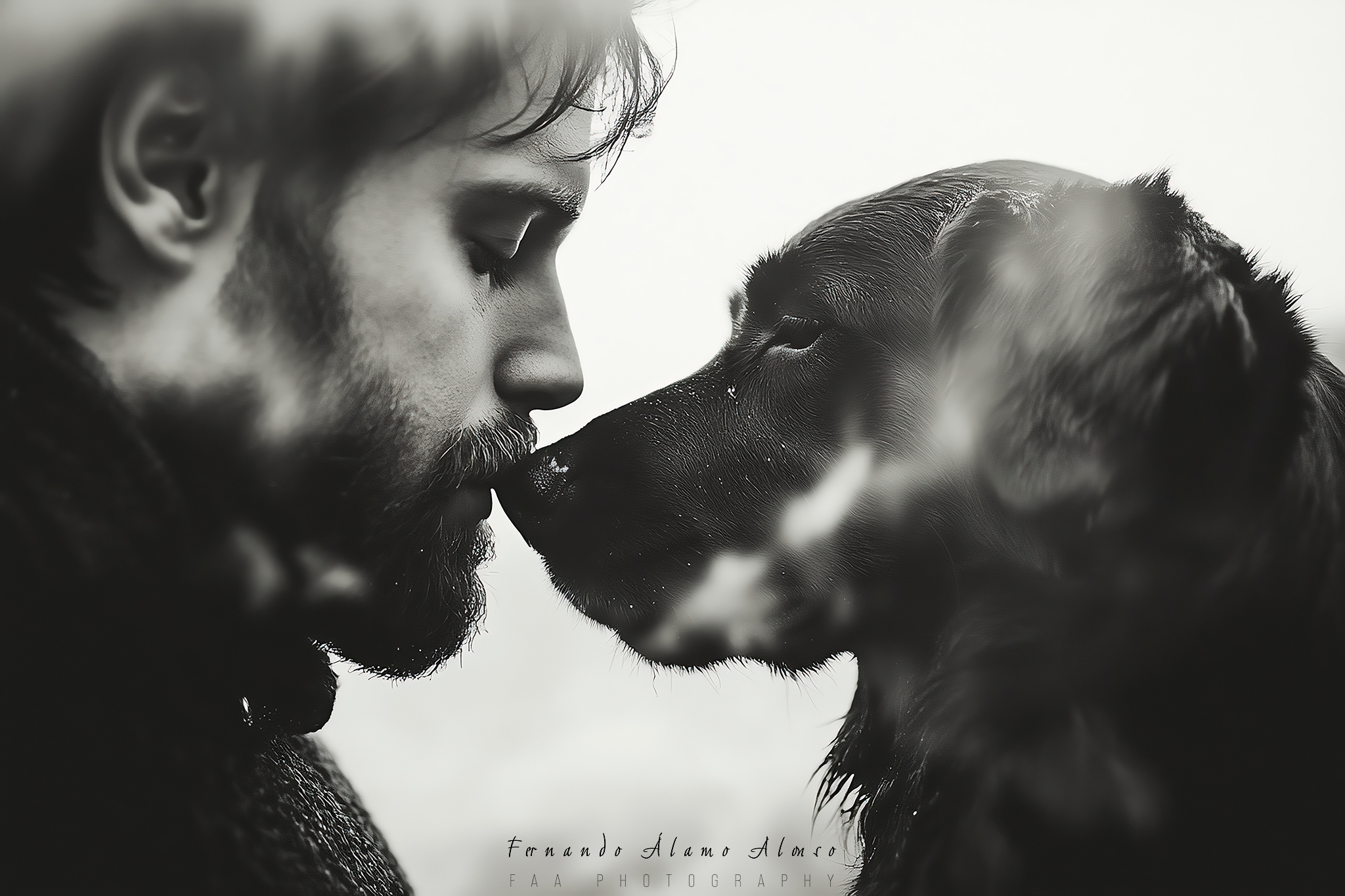 El Hombre y su Perro VIII