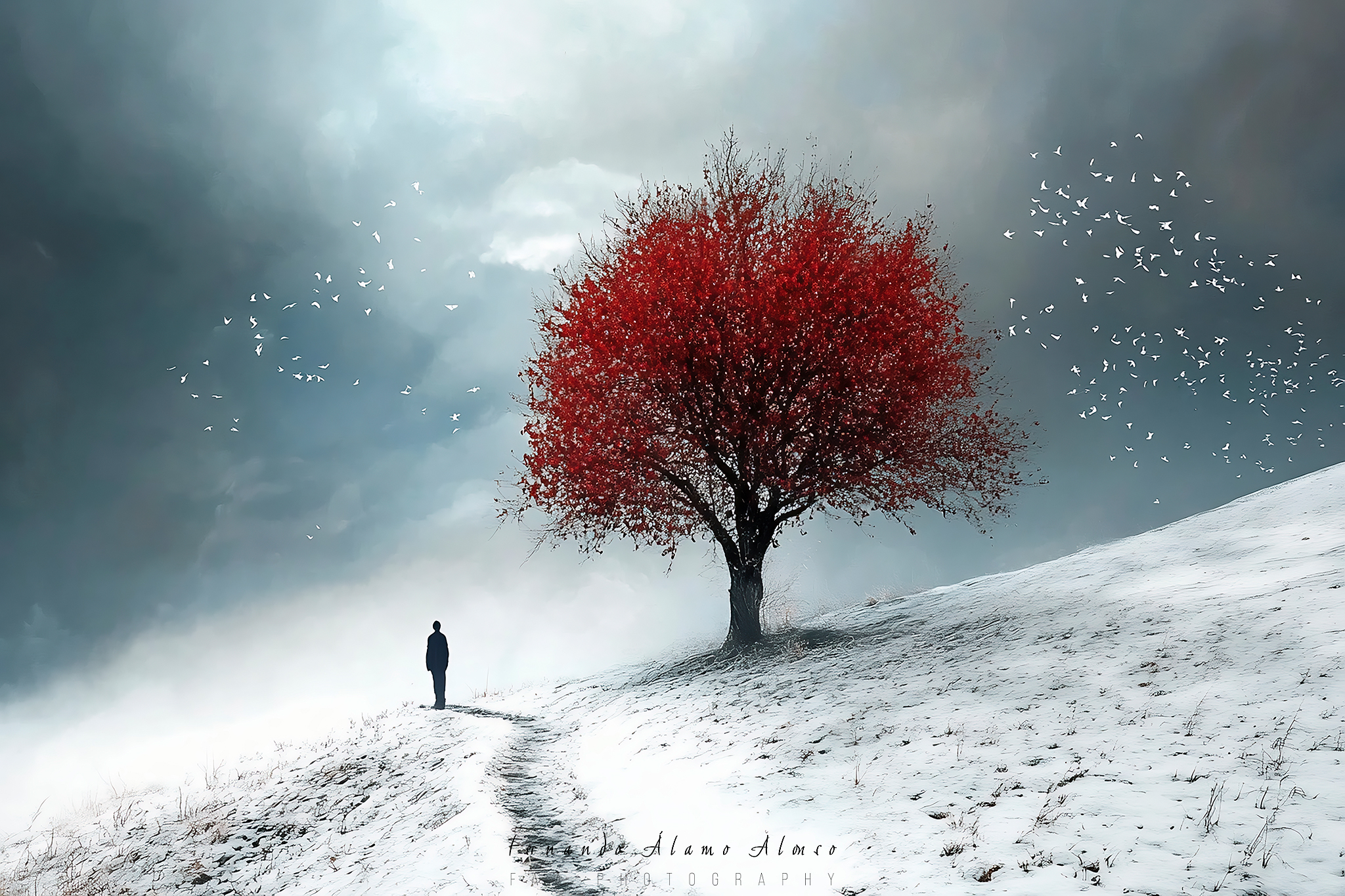 La Vida Según Caras Ionut I