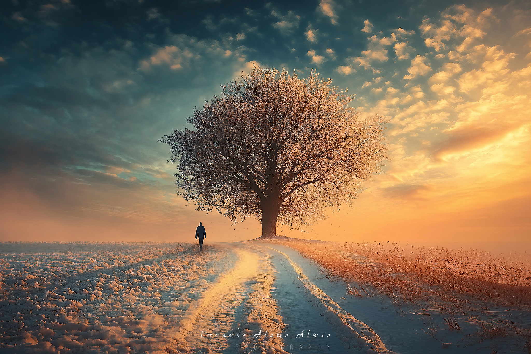 La Vida Según Caras Ionut II
