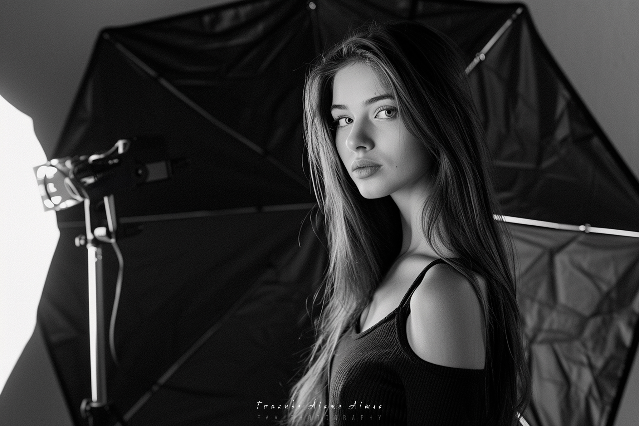 Modelo en Estudio I