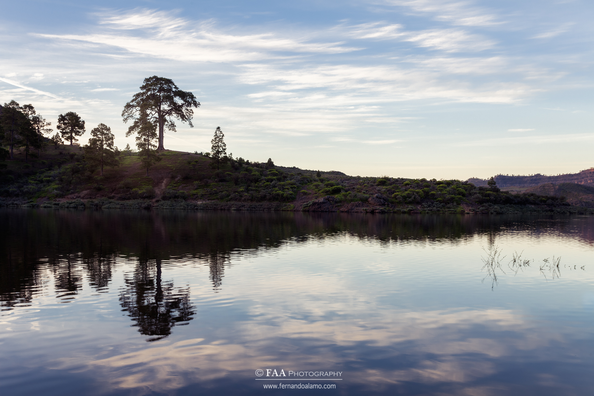 Presa de las Niñas y Arbol Casandra