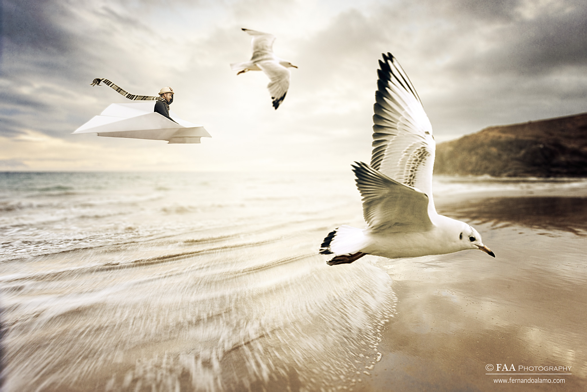 Salvador Gaviota