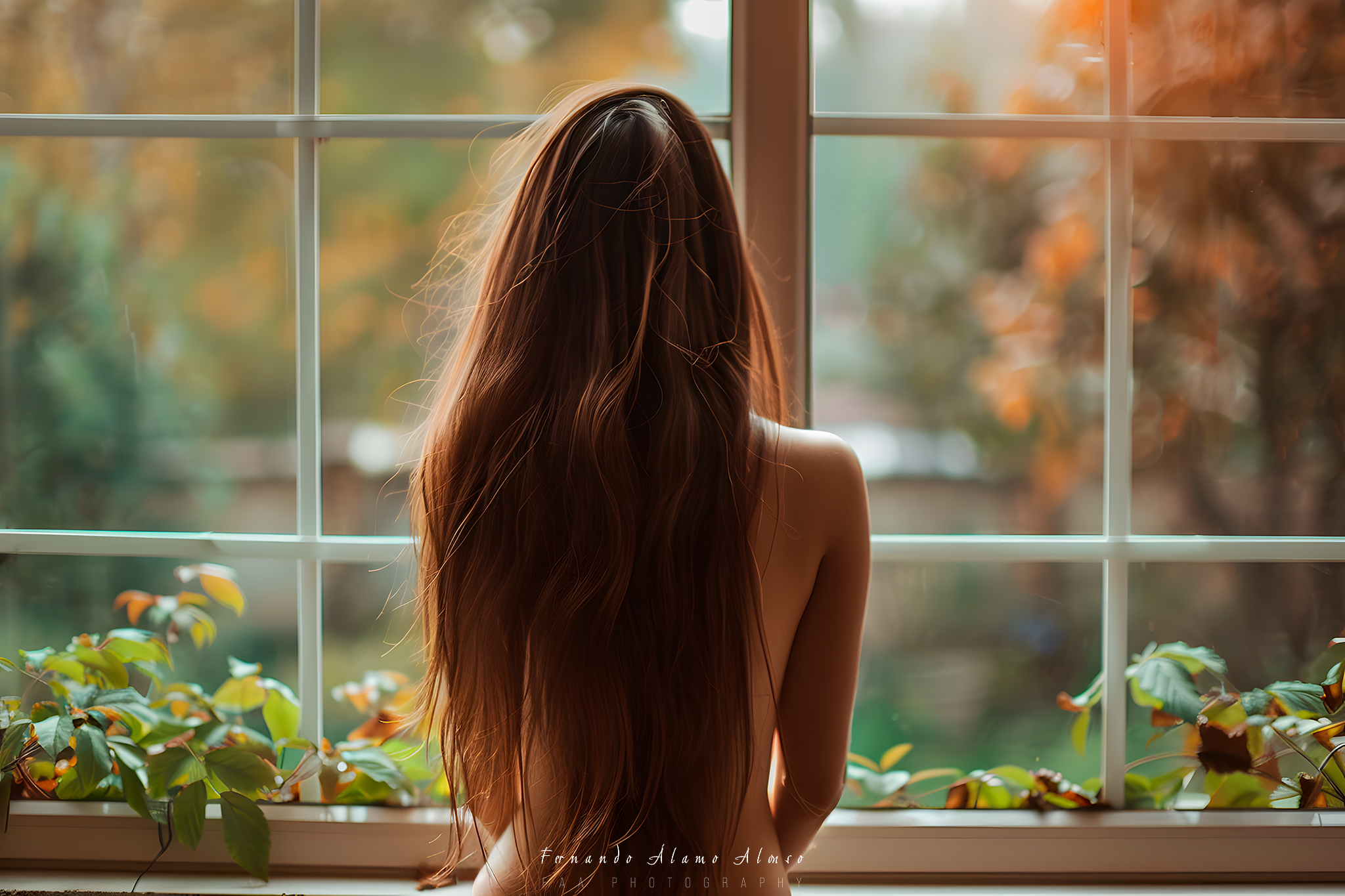 Modelo de Espaldas Frente a Ventana I